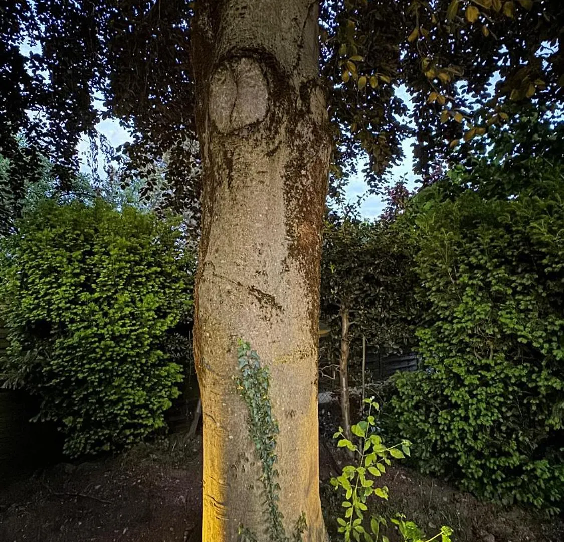 Stadtgarten Oase München Duitsland
